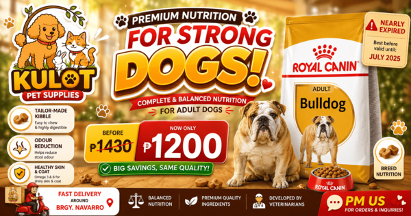 Bulldog July 2025 promotion
